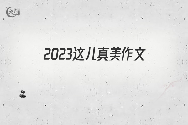 2022这儿真美作文