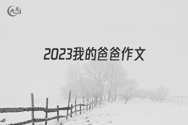 2022我的爸爸作文