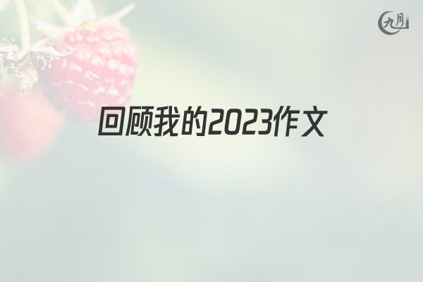 回顾我的2021作文