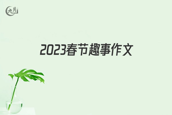 2022春节趣事作文