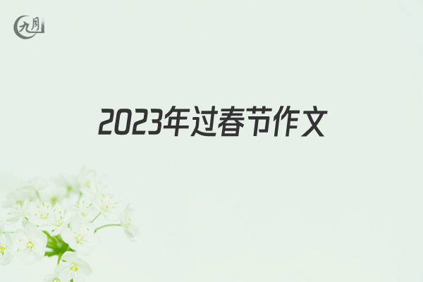 2022年过春节作文