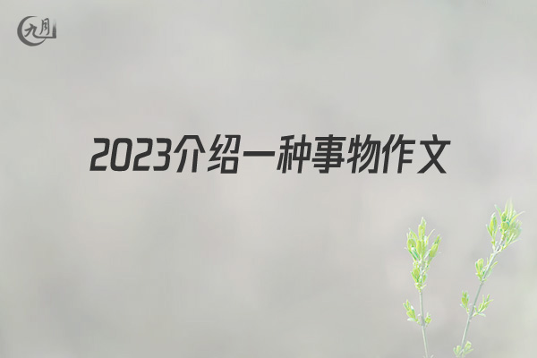 2022介绍一种事物作文