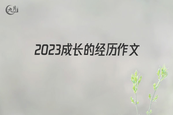 2022成长的经历作文