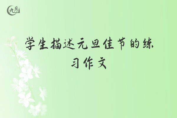 学生描述元旦佳节的练习作文