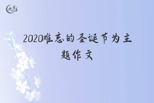 2020难忘的圣诞节为主题作文