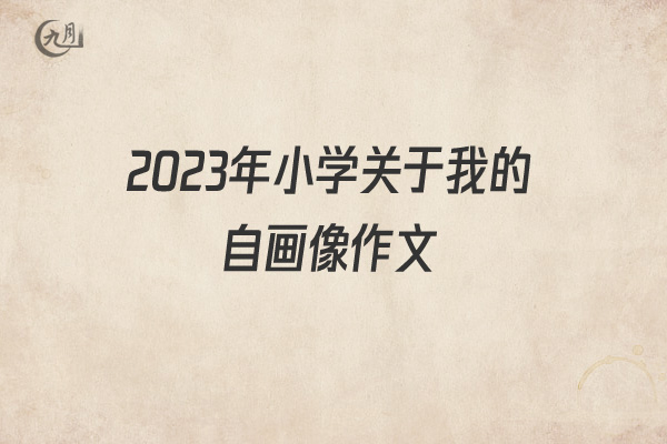 2022年小学关于我的自画像作文