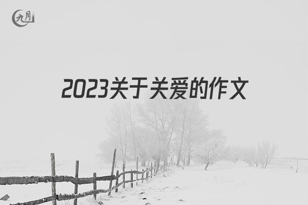 2022关于关爱的作文