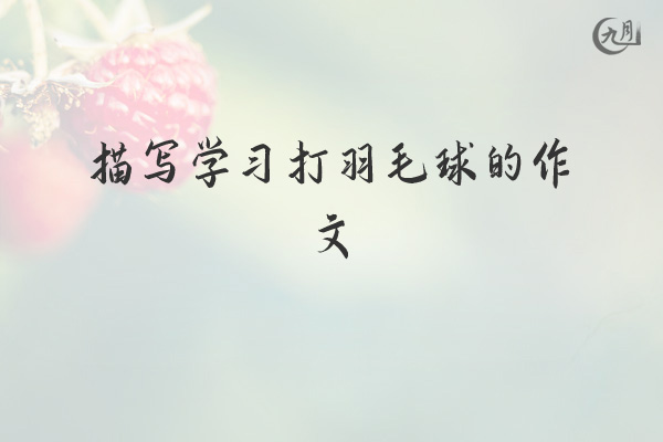 描写学习打羽毛球的作文