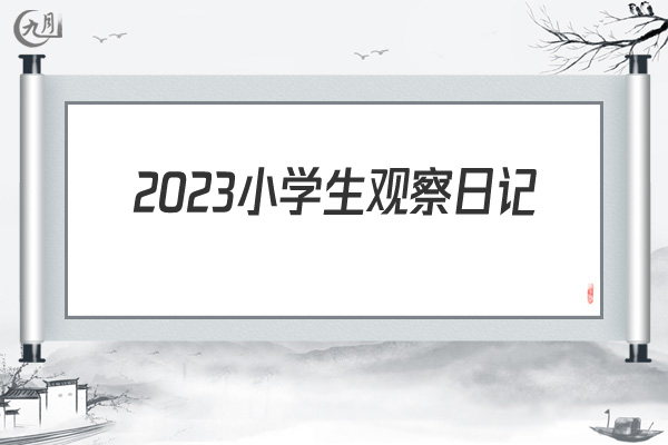 2022小学生观察日记