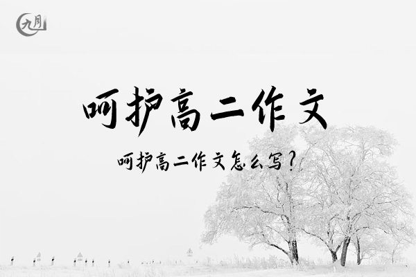 呵护高二作文