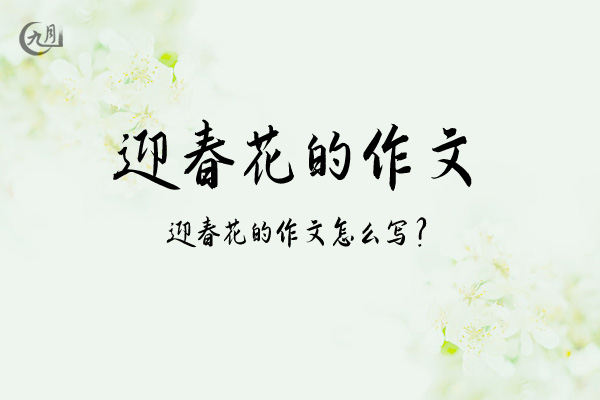 迎春花的作文