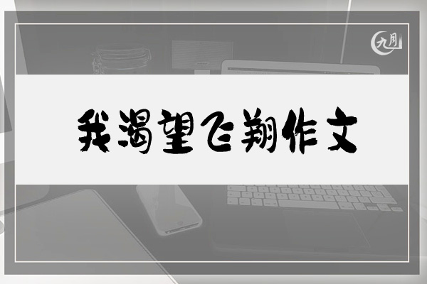 我渴望飞翔作文