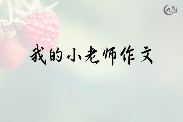 我的小老师作文