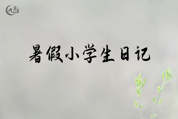 暑假小学生日记