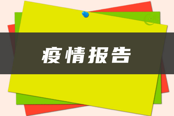 疫情报告模板