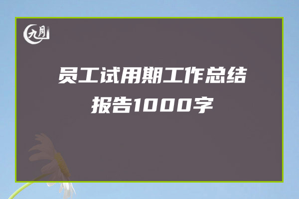 员工试用期工作总结报告1000字