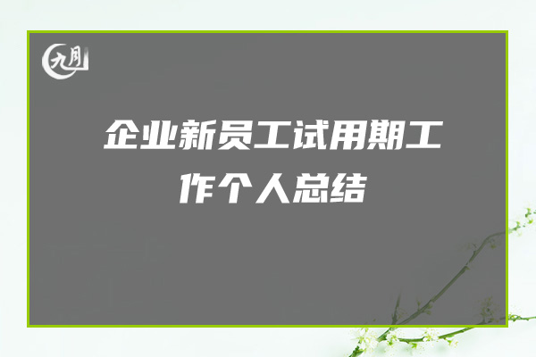 企业新员工试用期工作个人总结