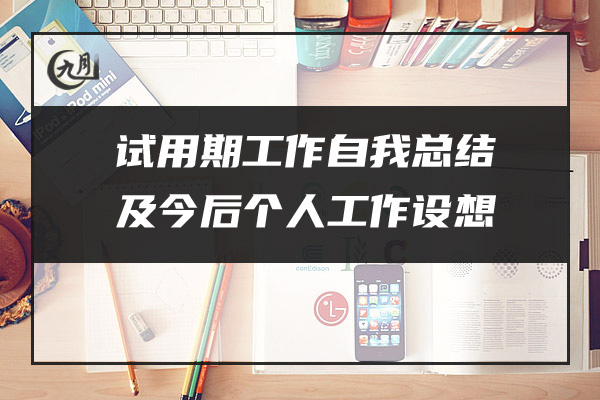 试用期工作自我总结及今后个人工作设想