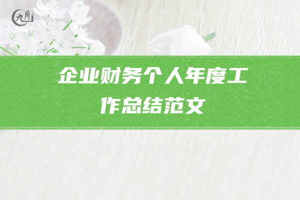 企业财务个人年度工作总结范文