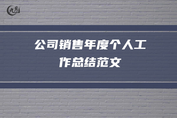 公司销售年度个人工作总结范文