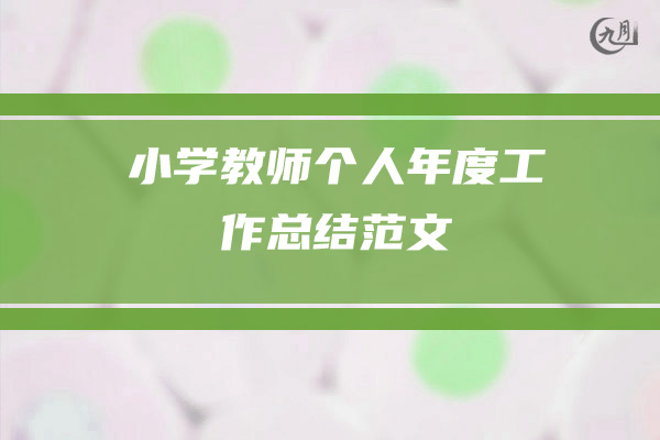 小学教师个人年度工作总结范文