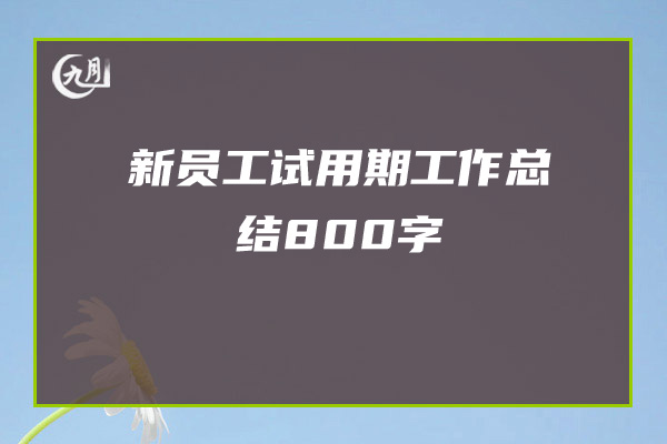 新员工试用期工作总结800字