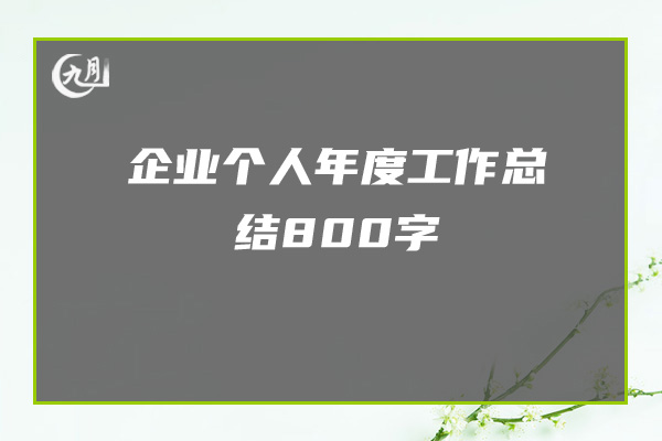 企业个人年度工作总结800字