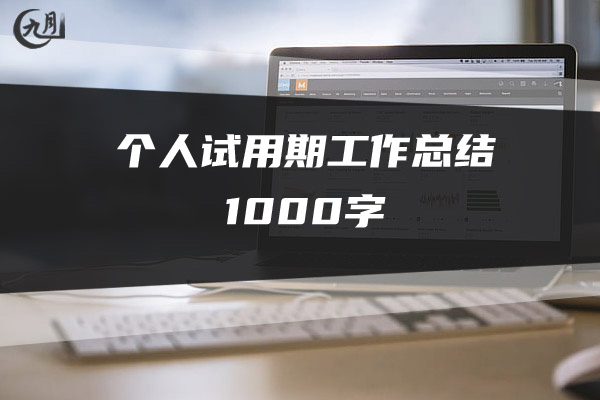 个人试用期工作总结1000字