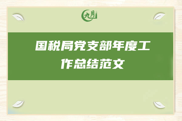 国税局党支部年度工作总结范文