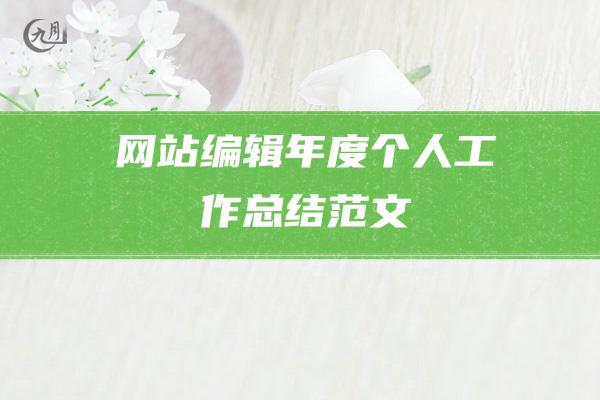 网站编辑年度个人工作总结范文