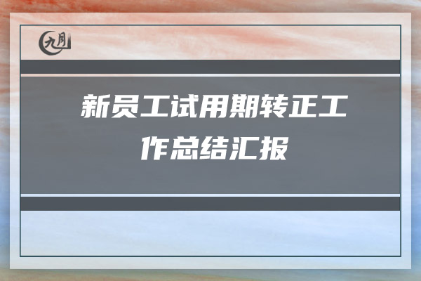 新员工试用期转正工作总结汇报