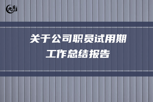 关于公司职员试用期工作总结报告