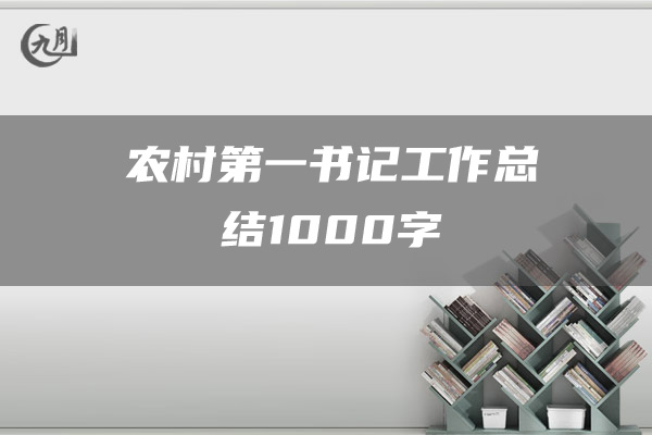 农村第一书记工作总结1000字