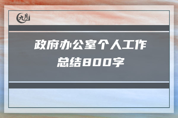 政府办公室个人工作总结800字