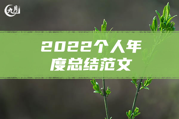 2022个人年度总结范文