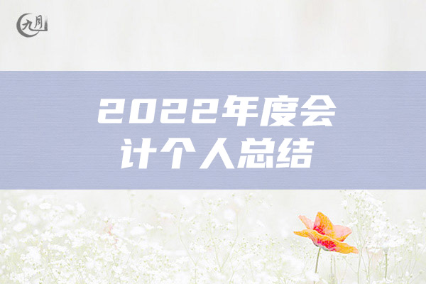 2022年度会计个人总结