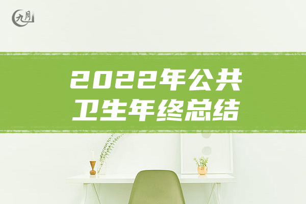 2022年公共卫生年终总结