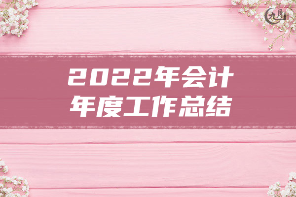 2022年会计年度工作总结