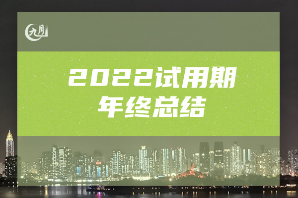 2022试用期年终总结