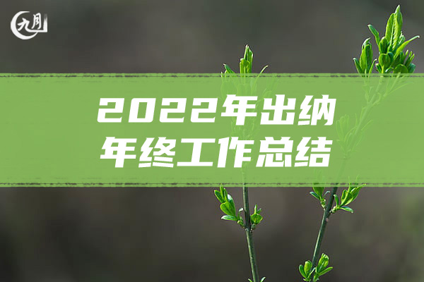 2022年出纳年终工作总结