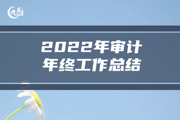 2022年审计年终工作总结