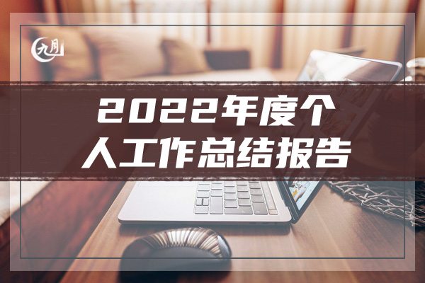 2022年度个人工作总结报告