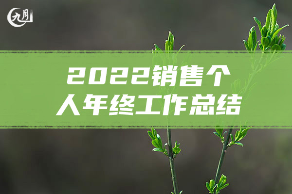 2022销售个人年终工作总结