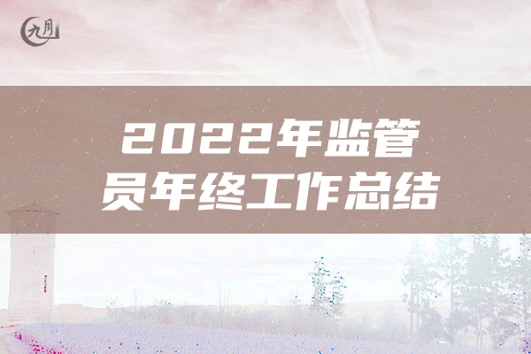 2022年监管员年终工作总结