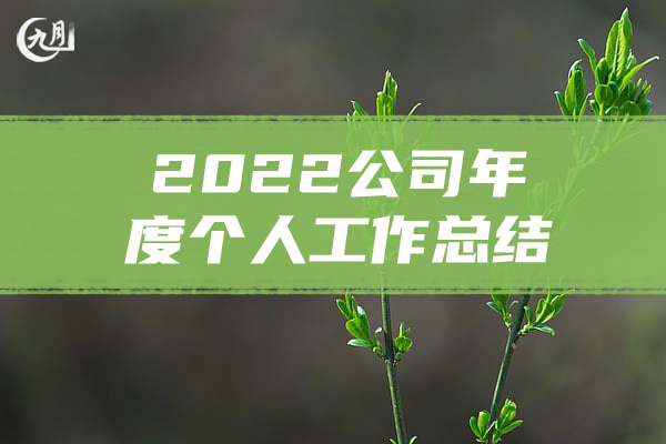 2022公司年度个人工作总结