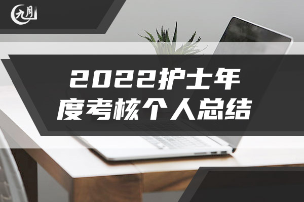 2022护士年度考核个人总结