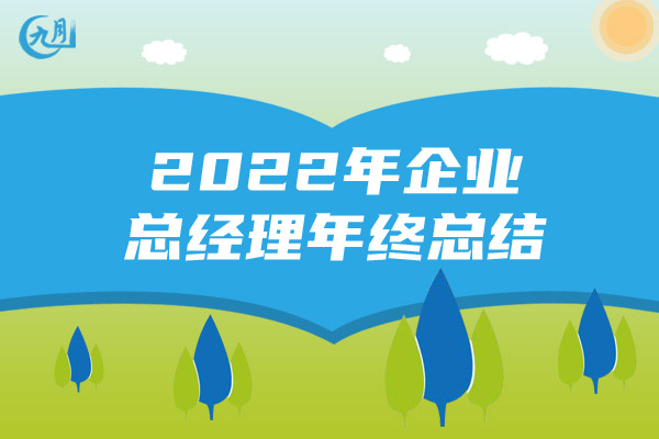 2022年企业总经理年终总结