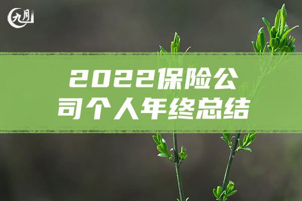 2022保险公司个人年终总结