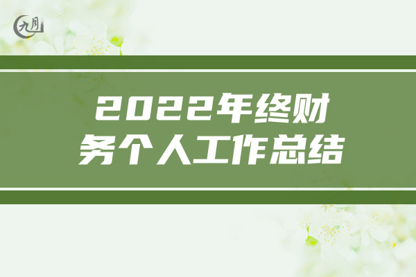 2022年终财务个人工作总结