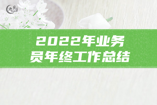 2022年业务员年终工作总结